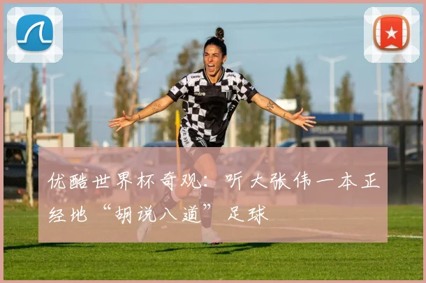 优酷世界杯奇观:听大张伟一本正经地“胡说八道”足球