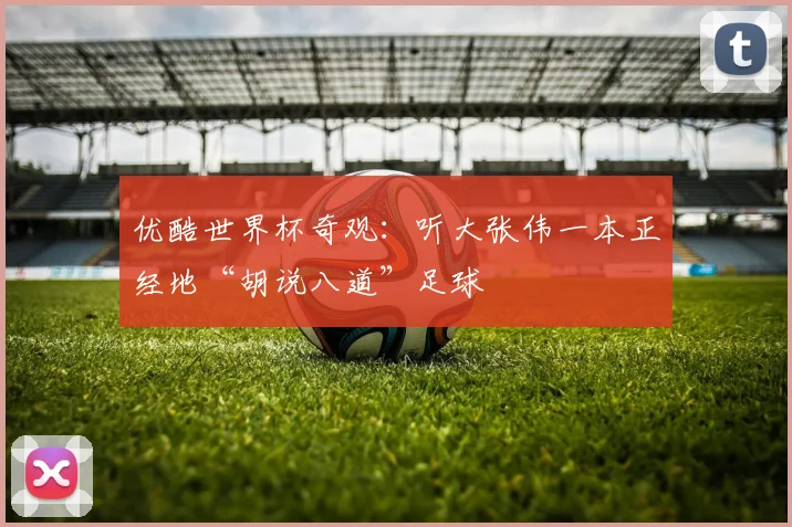 优酷世界杯奇观:听大张伟一本正经地“胡说八道”足球