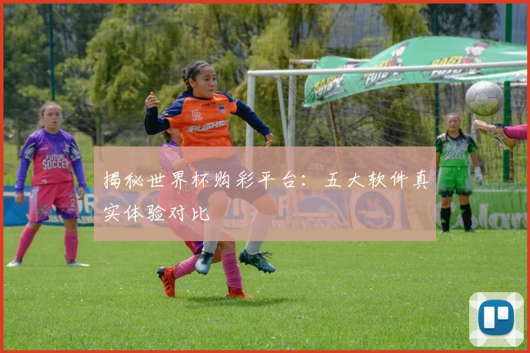 揭秘世界杯购彩平台：五大软件真实体验对比