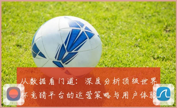 从数据看门道：深度分析顶级世界杯竞猜平台的运营策略与用户体验