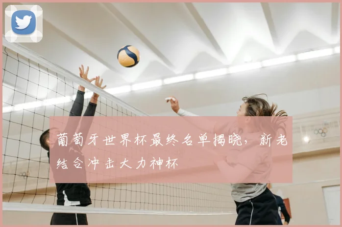葡萄牙世界杯最终名单揭晓,新老结合冲击大力神杯