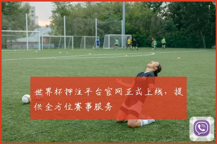 世界杯押注平台官网正式上线，提供全方位赛事服务