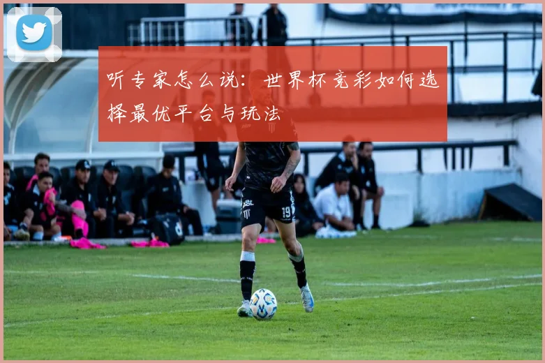 听专家怎么说：世界杯竞彩如何选择最优平台与玩法