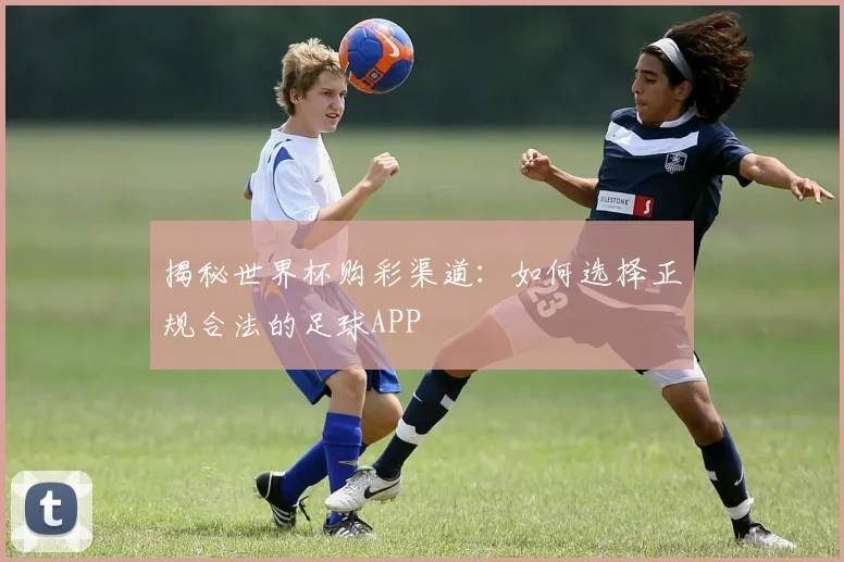 揭秘世界杯购彩渠道:如何选择正规合法的足球APP