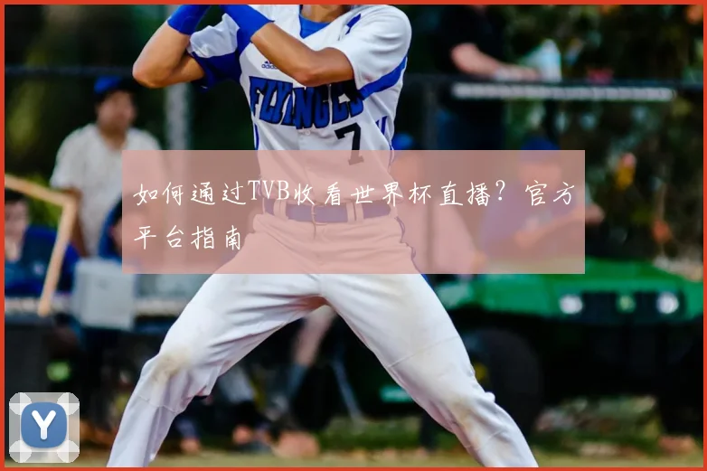 如何通过TVB收看世界杯直播?官方平台指南