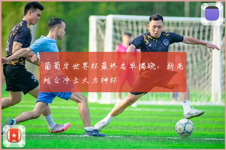 葡萄牙世界杯最终名单揭晓,新老结合冲击大力神杯